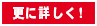 更に詳しく