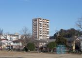 06.JPG